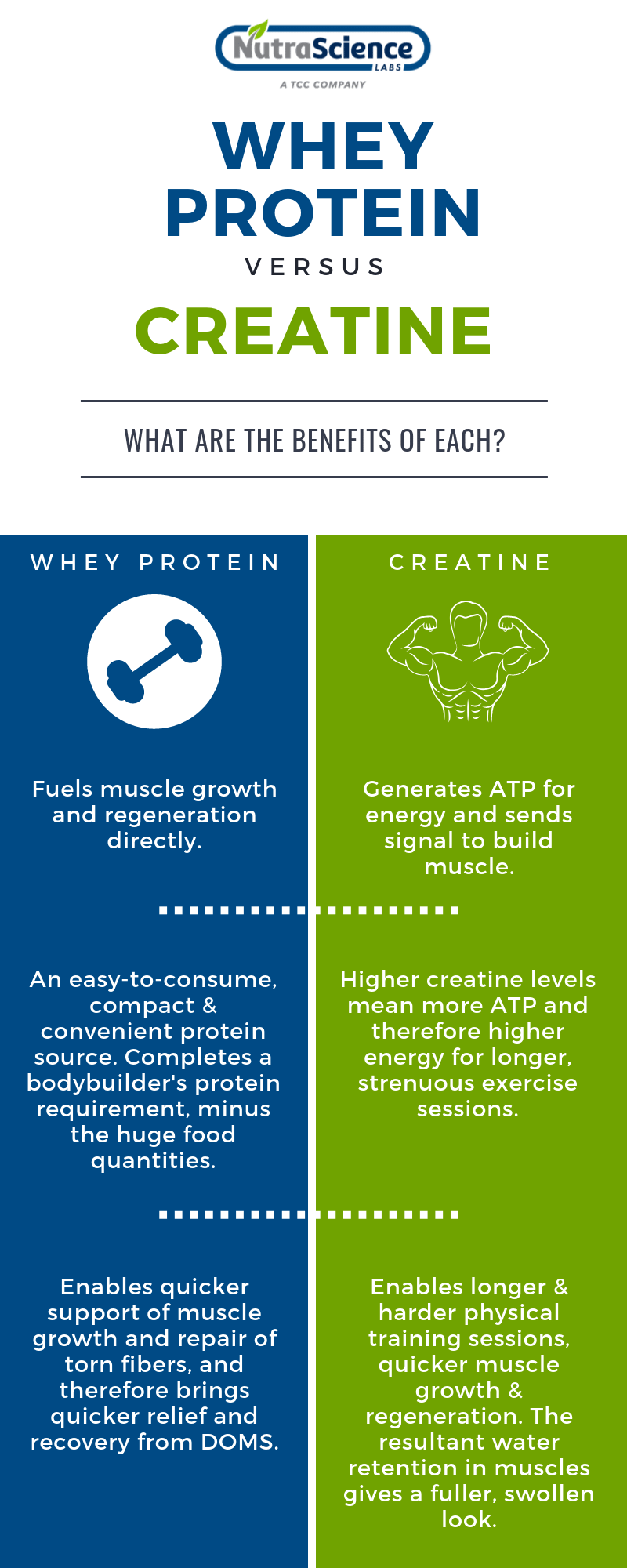 how-are-creatine-whey-protein-different-from-one-another