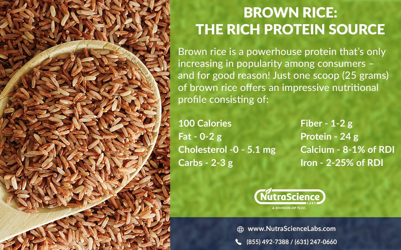 Brown Rice Protein – Nutrition Facts, Health Benefits, and Market Trends