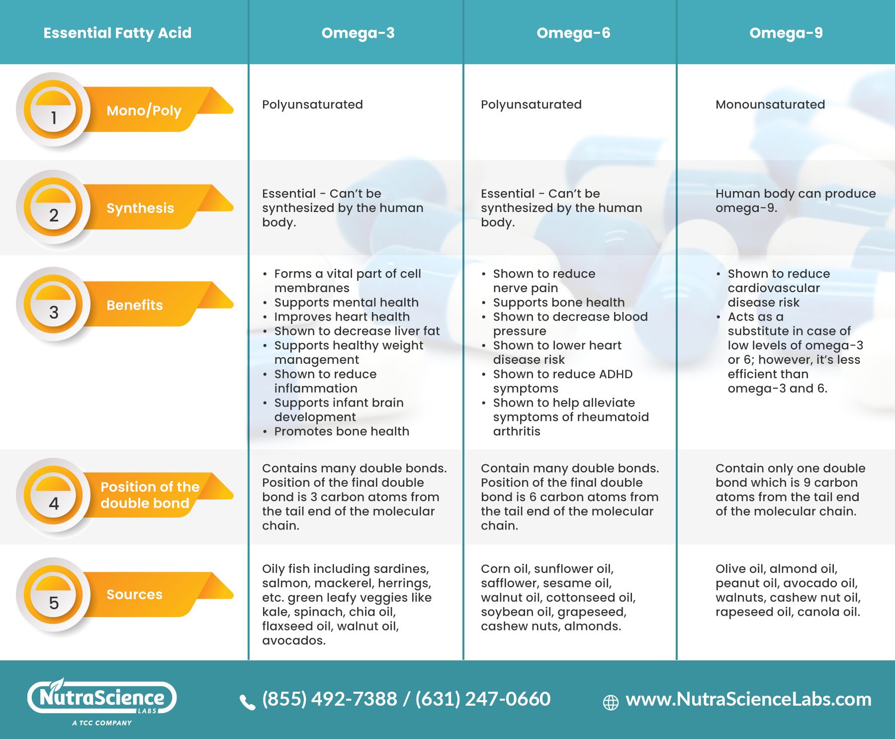 Omega 3 6 9 Benefits Differences A Complete Guide