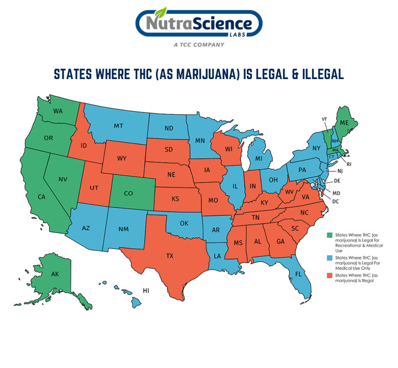 Is CBD Legal in all 50 States? Learn All You Need to Know In 5 Minutes